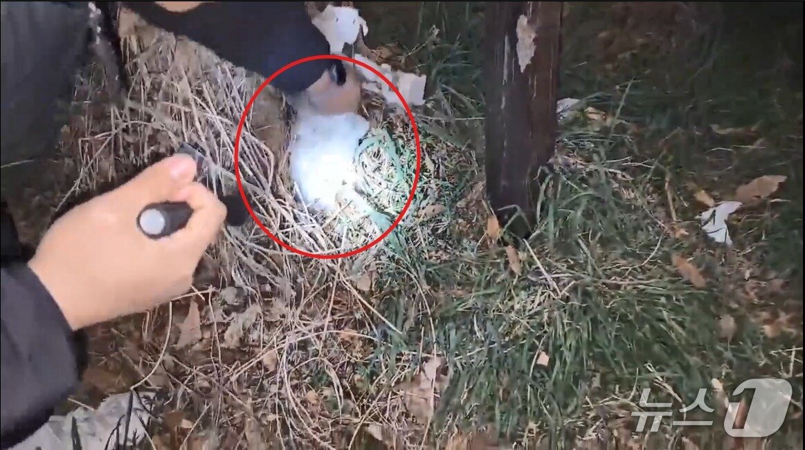 본문 이미지 - A 씨 등이 '던지기 수법'으로 유통한 필로폰. (경기남부경찰청 제공. 재판매 및 DB 금지) 2025.5.29/뉴스1