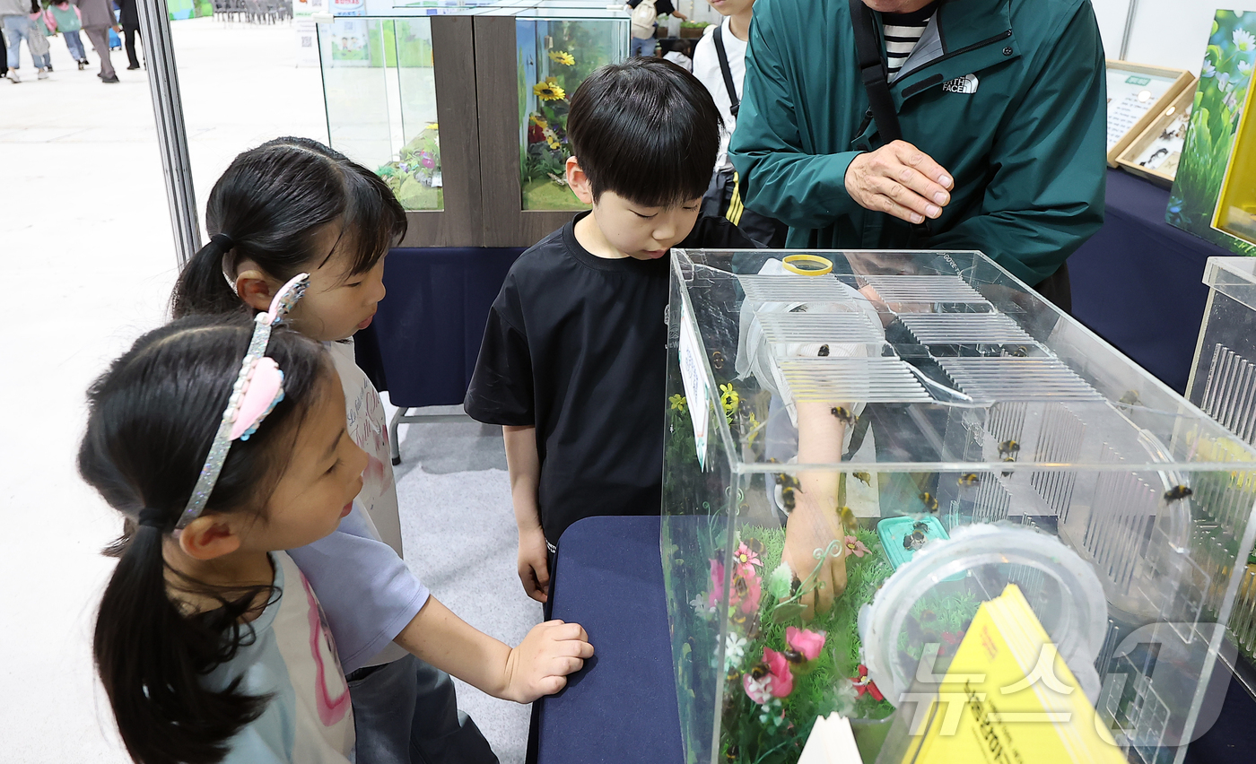 (서울=뉴스1) 김진환 기자 = 29일 서울 강남구 세텍(SETEC)에서 열린 '2025 제9회 대한민국 곤충경진대회'를 찾은 어린이들이 서양뒤영벌 만지기 체험을 하고 있다. 20 …