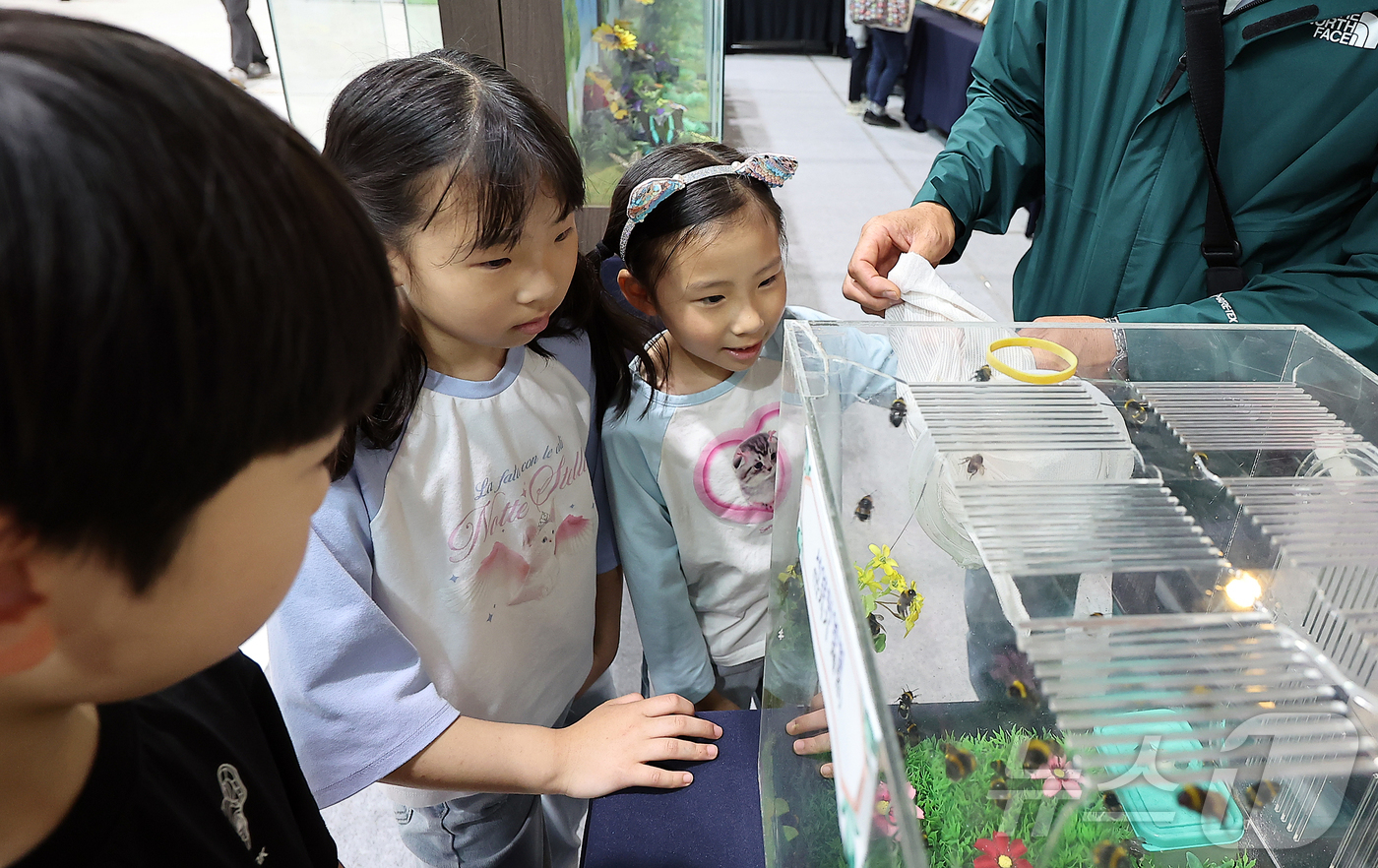(서울=뉴스1) 김진환 기자 = 29일 서울 강남구 세텍(SETEC)에서 열린 '2025 제9회 대한민국 곤충경진대회'를 찾은 어린이들이 서양뒤영벌 만지기 체험을 하고 있다. 20 …