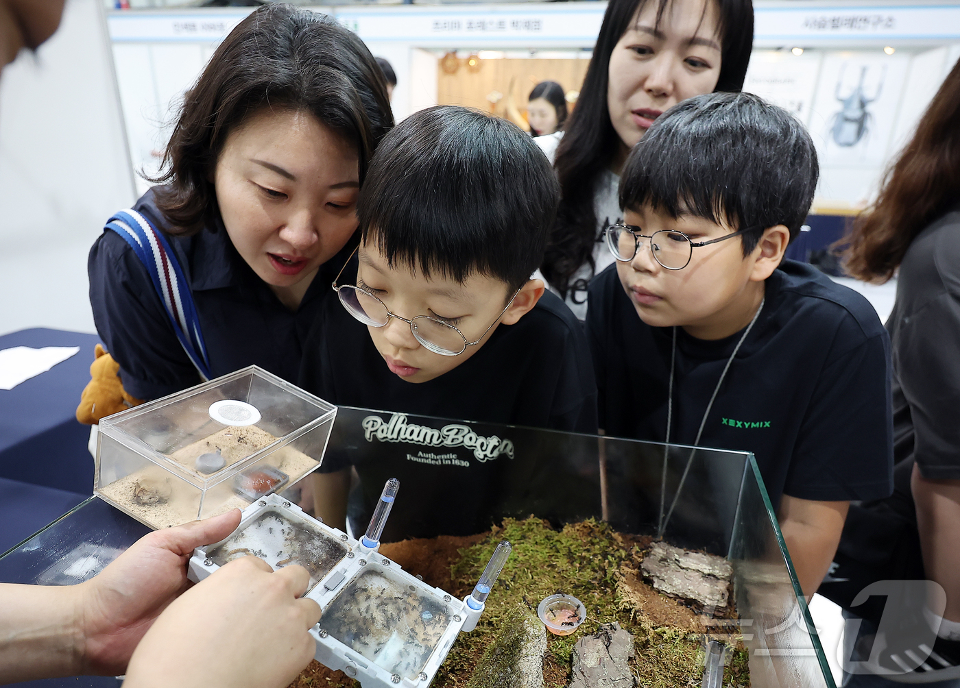 (서울=뉴스1) 김진환 기자 = 29일 서울 강남구 세텍(SETEC)에서 열린 '2025 제9회 대한민국 곤충경진대회'를 찾은 어린이들이 다양한 종류의 개미를 관찰하고 있다. 20 …