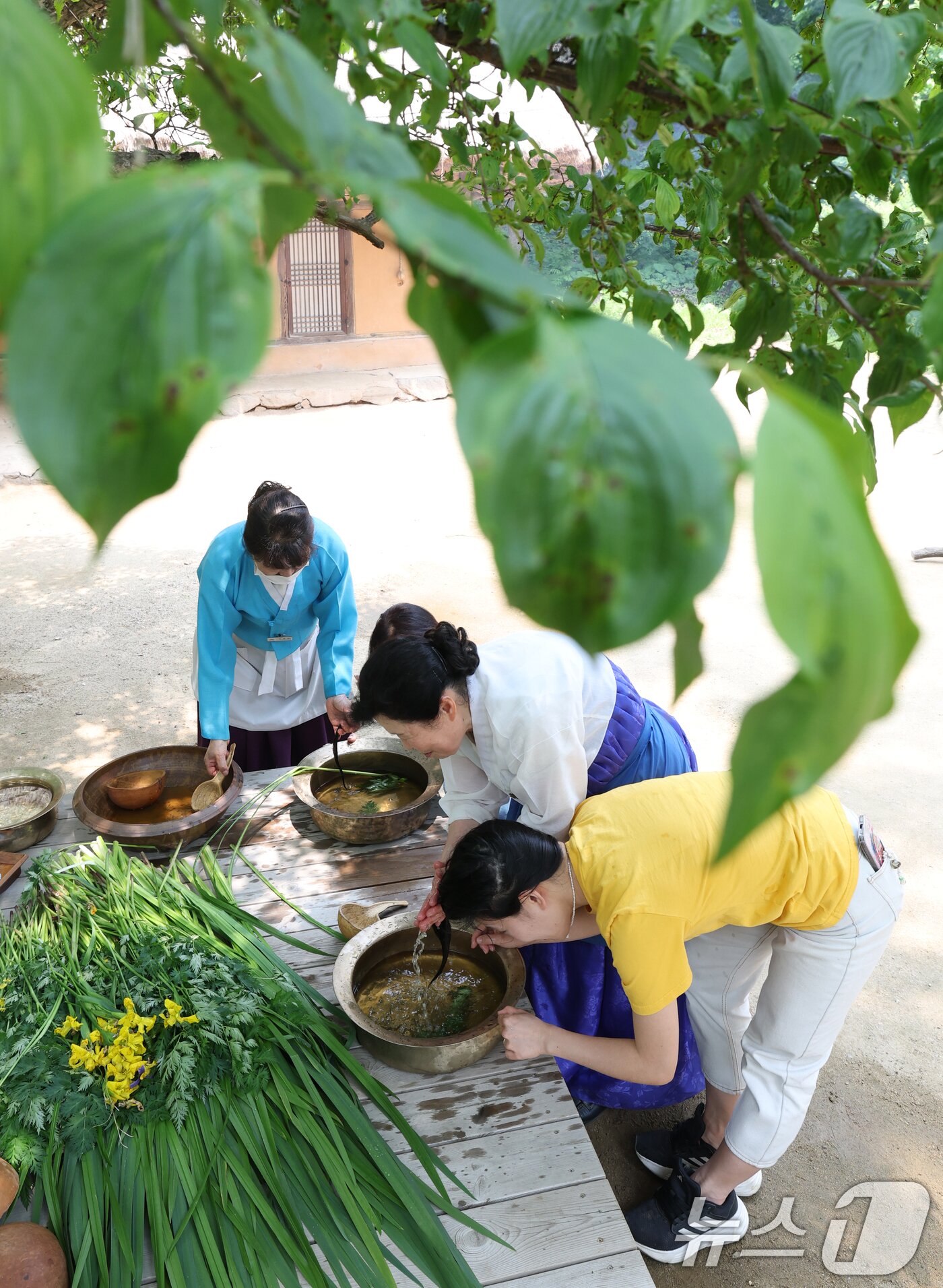 본문 이미지 - 단오&#40;음력 5월5일&#41;를 이틀 앞둔 29일 경기 용인시 기흥구 한국민속촌에서 관광객들이 창포물에 머리 감기 체험을 하고 있다. 2025.5.29/뉴스1 ⓒ News1 김영운 기자