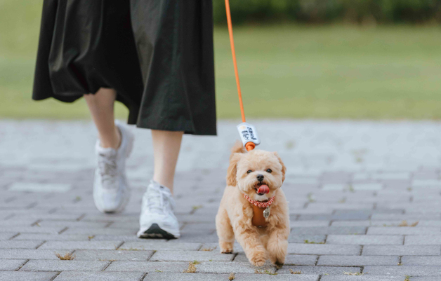 파주시, '유기동물 입양' 마리당 최대 15만원 지원