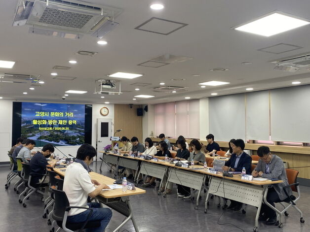 고양시 '라페스타·화정역·덕이동 패션타운' 활성화 용역 착수