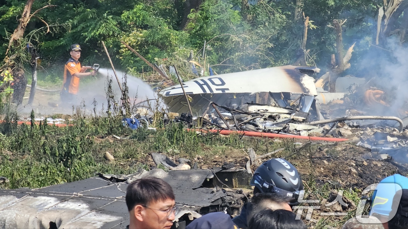 (포항=뉴스1) 최창호 기자 = 29일 오후 1시 35분쯤 경북 포항 남구 동해면 야산에 해군 해상 초계기 (P-3C)가 추락해 전소됐다 2025.5.29/뉴스1