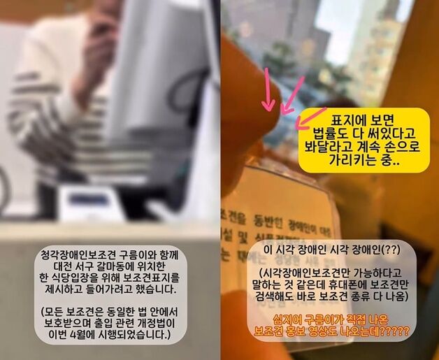 "청각 장애인인데 안내견이 어디 있냐"…식당서 입장 거부당한 보조견
