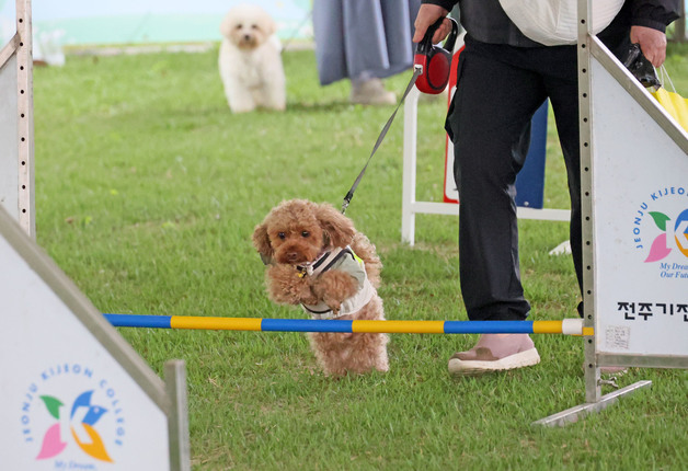 2026 임실N펫스타, 5월 1일 오수의견관광지 전역에서 개막