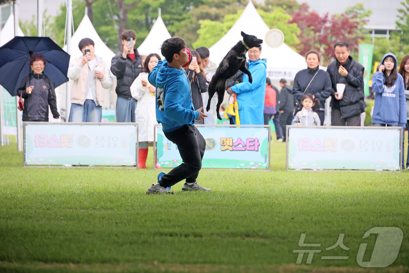 (임실=뉴스1) 유경석 기자 = 3일 전북자치도 임실군 오수면에서 열린 \'2025 임실N펫스타\'에서 관광객들이 반려견들과 즐거운 시간을 보내고 있다. 이번 행사는 3일부터 5일 …