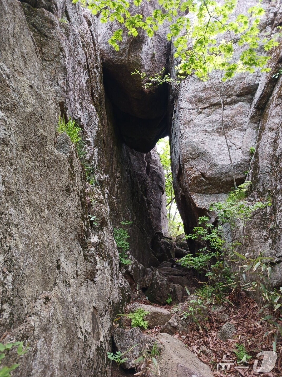 본문 이미지 - 지리산에서 흔히 볼 수 있는 석문. 벽소석문엔 못 미치지만 우람한 모습으로 삼신봉과 세석대피소 사이에 꿋꿋이 자리를 지키고 있다. 