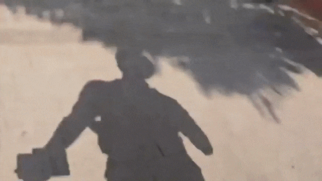 본문 이미지 - (엑스 갈무리)