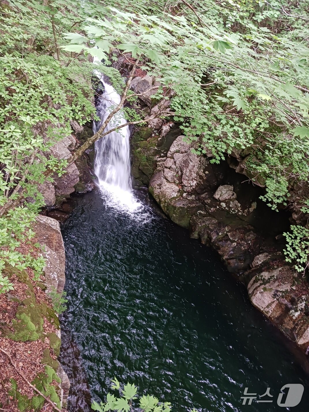 본문 이미지 - 세석에서 백무동으로 내려가는 한신계곡엔  여닐곱개의 폭포가 있는데 가내소폭포가 단연 눈에 띈다.  가내소는 15m 높이의 폭포로 50여평의 검푸른 소를 만들어 웅장함에 압도당한다. 사철 수량이 일정해 예부터 기우제 장소로 많이 이용돼왔다. 여기서 기우제를 지내면 반드시 비가 온다는 영험스러운 곳으로 전해진다. 