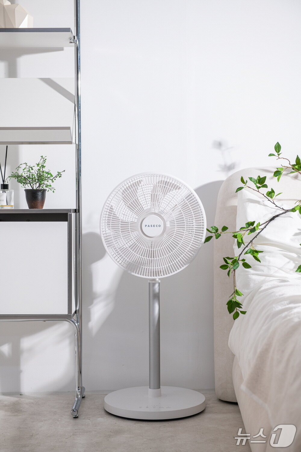 본문 이미지 - 파세코 &#39;에어스윙 14인치 BLDC 서큘레이터&#39;&#40;파세코 제공&#41;