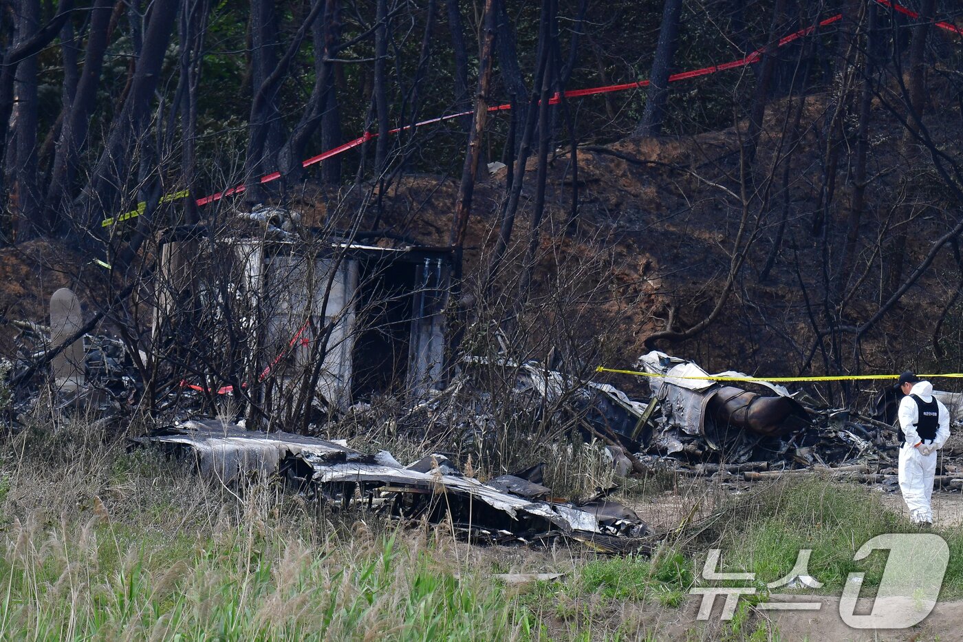 본문 이미지 - 군 항공사고 조사관들이 30일 오전 경북 포항시 남구 동해면 야산에 추락한 해군 대잠 해상초계기 사고 현장 조사를 진행하고 있다. 2025.5.30/뉴스1 ⓒ News1 최창호 기자