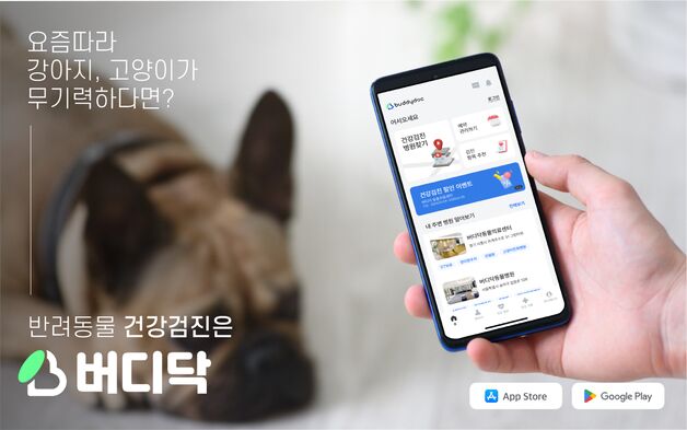 반려동물 건강검진 플랫폼 '버디닥' 출시…예약부터 결과 관리까지