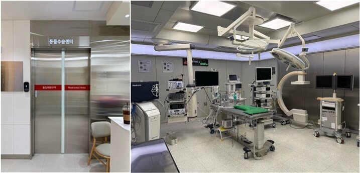 본문 이미지 - 본동물의료센터의 양압환기 무균수술실&#40;본동물의료센터 제공&#41; ⓒ 뉴스1