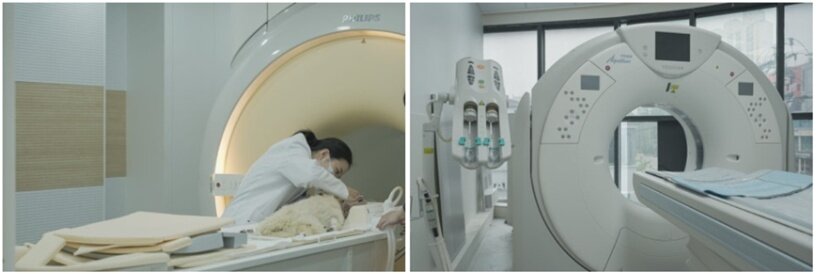 본문 이미지 - 본동물의료센터는 확장 이전하며 최신 MRI&#40;3T&#41;와 CT&#40;160 Slice&#41;를 도입했다&#40;본동물의료센터 제공&#41;. ⓒ 뉴스1