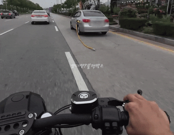 본문 이미지 - (SNS 갈무리)