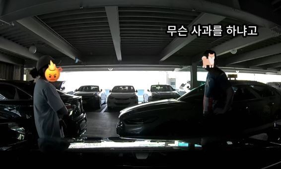 본문 이미지 - (온라인 커뮤니티 '보배드림' 갈무리)