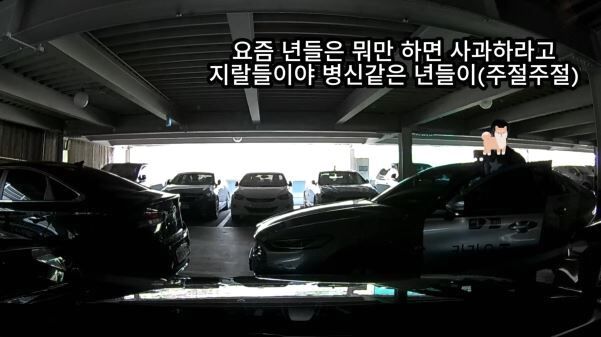 "병신 같은, 어린 X"…이중 주차 택시기사, 여성 차주에 욕설 '적반하장'