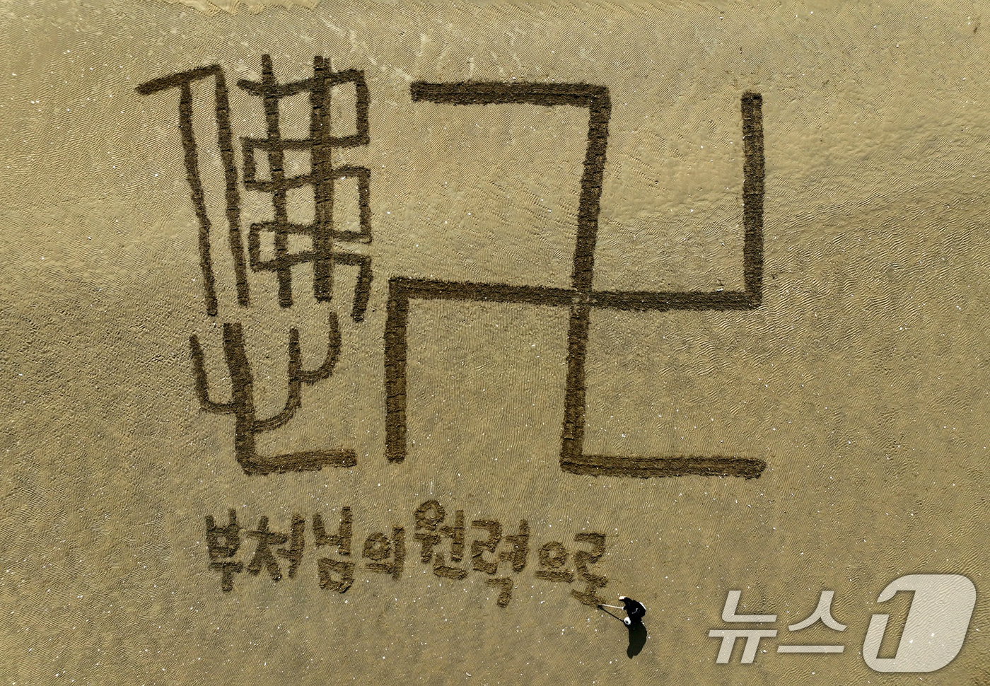 (포항=뉴스1) 최창호 기자 = 불기 2569년 부처님 오신 날(5월5일)을 하루 앞둔 4일 서예가 김동욱 씨가 경북 포항시 송도해수욕장 백사장에서 '봉축' 퍼포먼스를 펼치고 있다 …