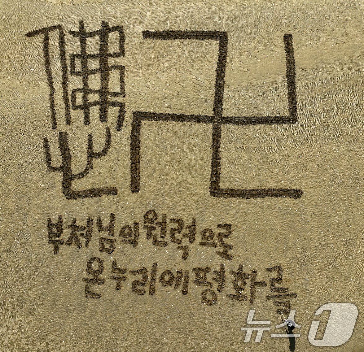 (포항=뉴스1) 최창호 기자 = 불기 2569년 부처님 오신 날(5월5일)을 하루 앞둔 4일 서예가 김동욱 씨가 경북 포항시 송도해수욕장 백사장에서 '봉축' 퍼포먼스를 펼치고 있다 …