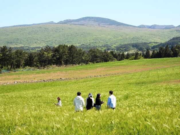 [오늘의 날씨] 제주(31일, 토)…맑다가 늦은 오후부터 구름 많음