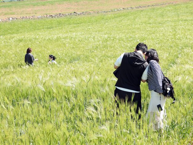 [오늘의 날씨] 제주(5일, 월)…흐리고 오후부터 비