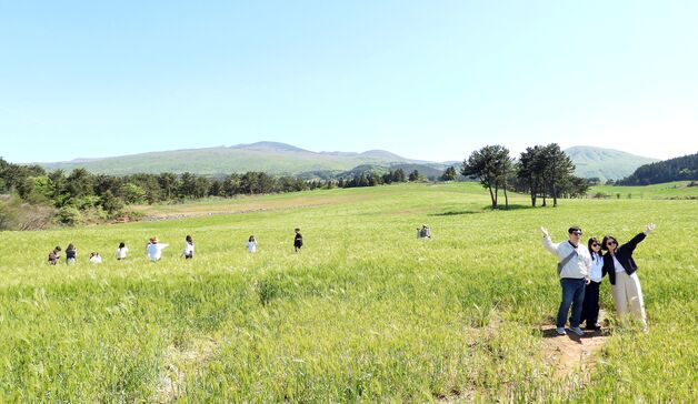 [오늘의 날씨] 제주(7일,수)…대체로 맑음