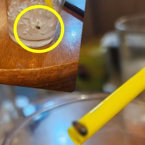 "다 마신 라테 컵에 바퀴벌레…사과 전화 없이 커피값 3900원 입금" 분통