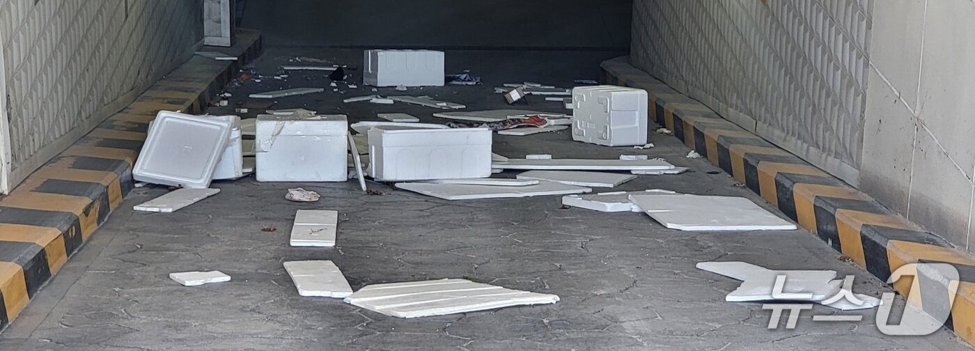 본문 이미지 - 4일 오후 강원 원주시 한 건물 지하주차장 출입구 주변에 바람으로 쓰러져 내린 폐기물이 널려 있는 모습. 2025.5.4/뉴스1 신관호 기자