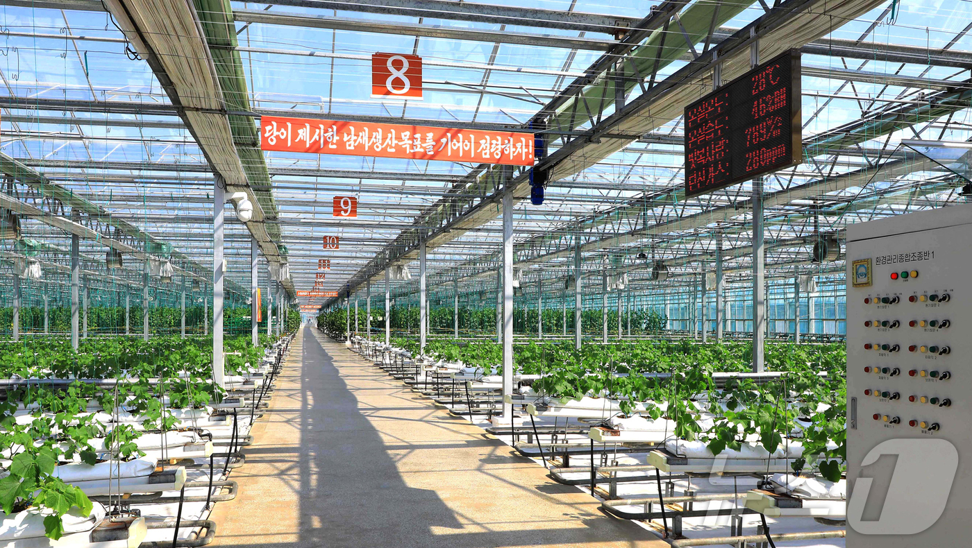 (평양 노동신문=뉴스1) = 북한 노동당 기관지 노동신문은 5일 연포온실농장이 온실남새(채소)을 닐리기 위한 사회주의 경쟁 총화(결산)에서 우승하며 생산량과 품종수를 증가했다고 보 …