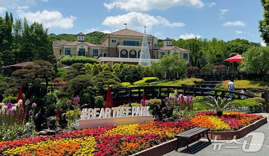 본문 이미지 - 베어트리파크. / 뉴스1