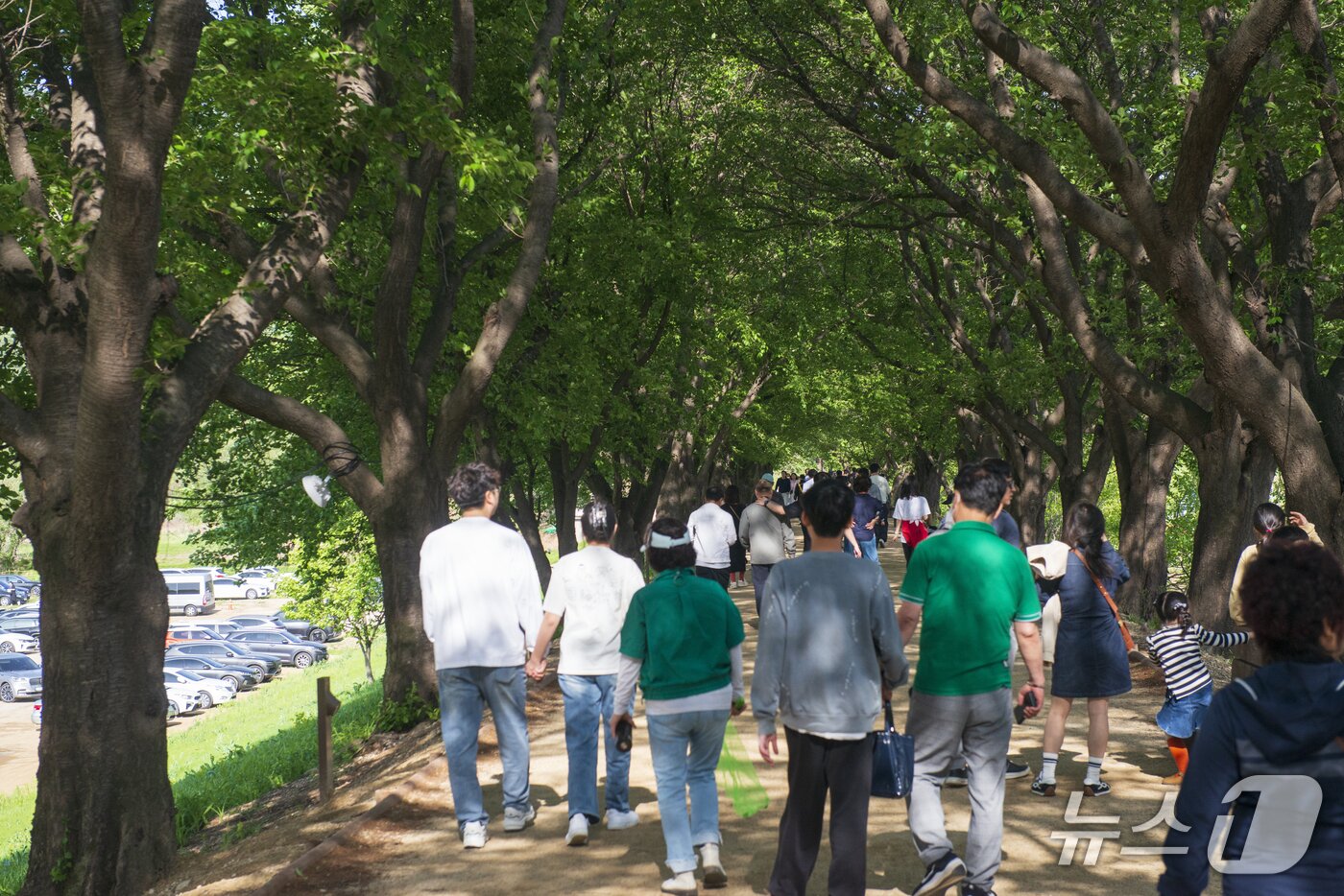 본문 이미지 - 지난 4일 경북 안동 하회마을을 방문한 관광객들이 즐거운 연휴를 보내고 있다.2025.5.4/뉴스1 ⓒ News1 이성덕 기자