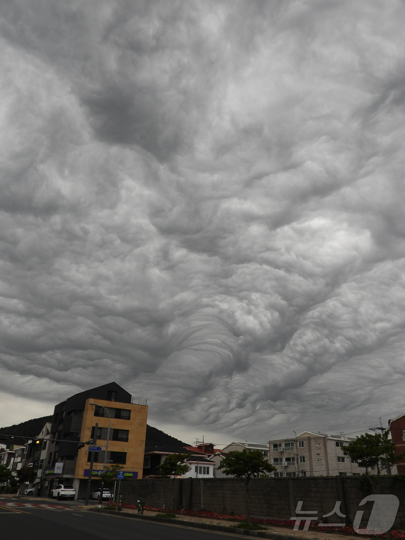 (제주=뉴스1) 오미란 기자 = 어린이 날이자 부처님 오신 날인 5일 오후 제주시 연동 하늘에 '거친물결구름'이 떠 있다. 거친물결구름은 상층의 찬 공기와 하층의 따뜻한 공기가 강 …