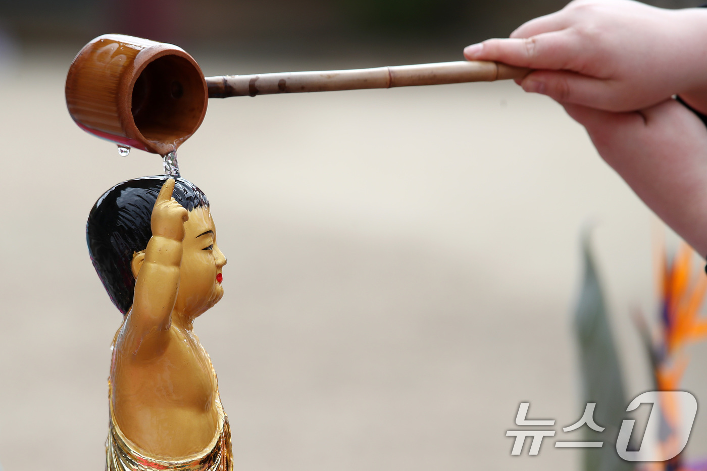 (대구=뉴스1) 공정식 기자 = 불기 2569년 부처님 오신 날인 5일 오전 대구 동구 동화사를 찾은 불자들이 관불 의식을 하고 있다. 2025.5.5/뉴스1