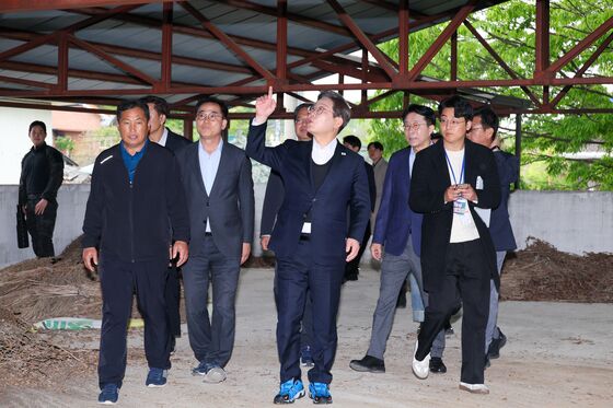 "신재생에너지 중심으로" 이재명 공약에 태양광·풍력株 '활짝'[핫종목]