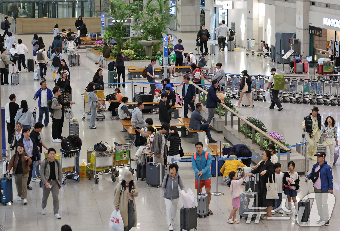 (인천공항=뉴스1) 장수영 기자 = 어린이날 연휴 마지막 날인 6일 오전 인천국제공항 제1터미널 입국장이 여행을 마치고 일상으로 돌아가려는 이용객들로 붐비고 있다. 2025.5.6 …