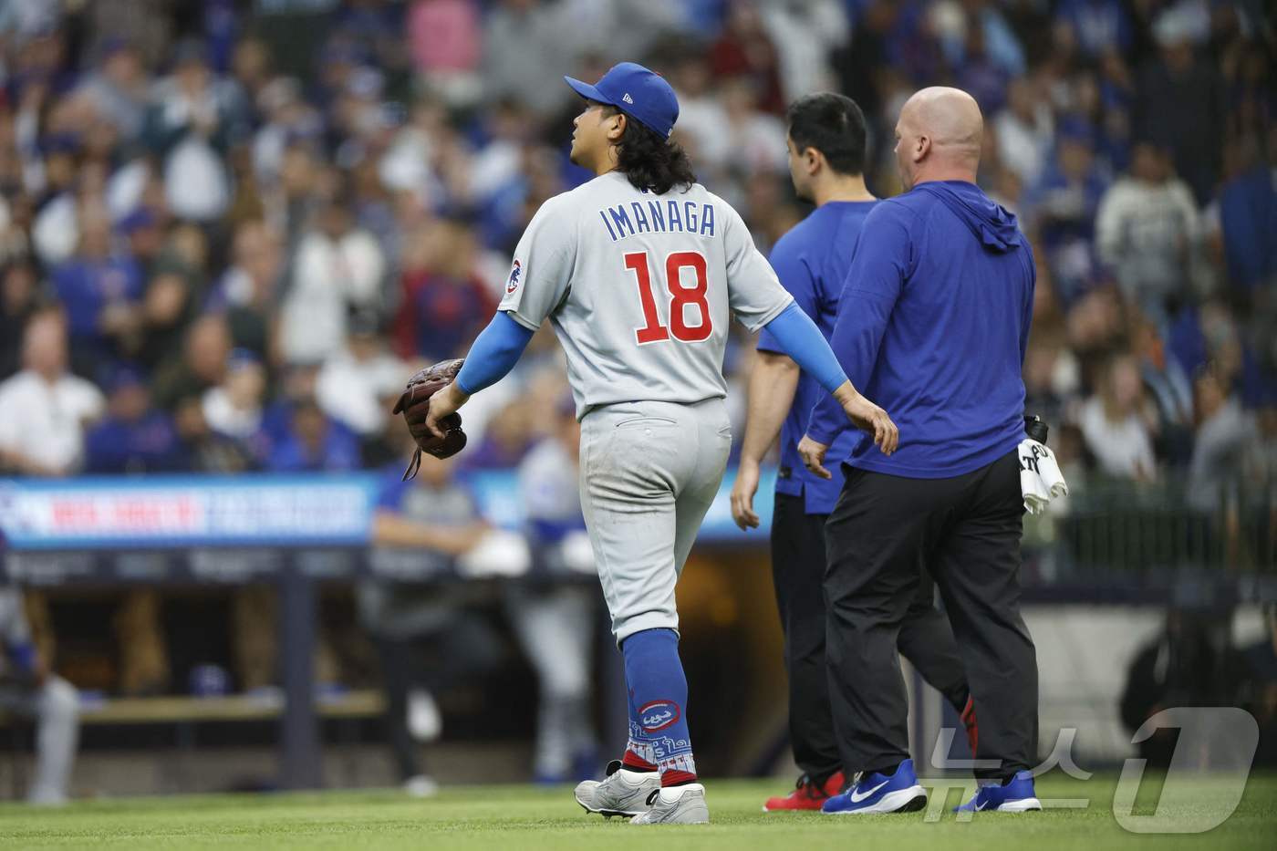 본문 이미지 - 시카고 컵스의 일본인 투수 이마나가 쇼타. ⓒ AFP=뉴스1