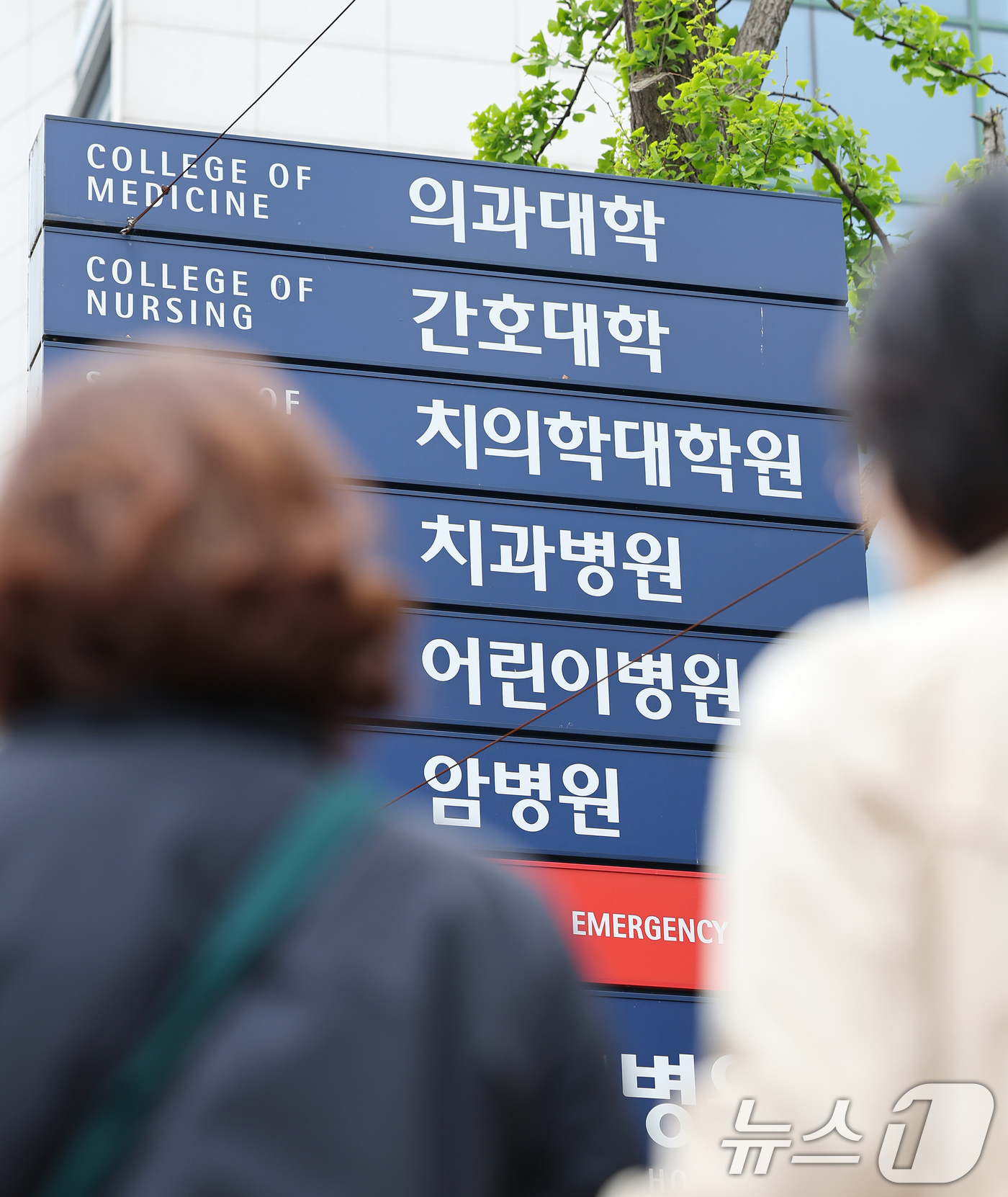 (서울=뉴스1) 장수영 기자 = 6일 오후 서울의 한 의과대학 앞으로 시민들이 지나가고 있다.교육부는 수업을 거부하고 있는 의과대학 학생들에 대한 유급과 제적 처분을 오는 7일 확 …