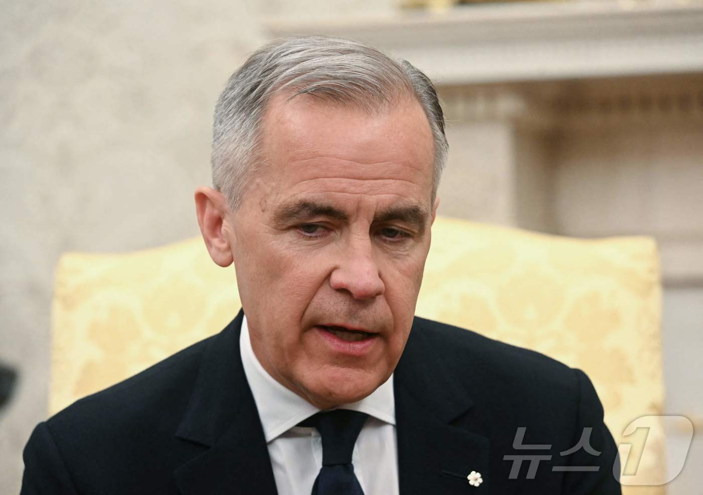 (워싱턴 AFP=뉴스1) 우동명 기자 = 마크 카니 캐나다 총리가 6일(현지시간) 워싱턴 백악관에서 도널드 트럼프 미국 대통령과 가진 회담서 "부동산은, 절대 팔리지 않는 곳도 있 …