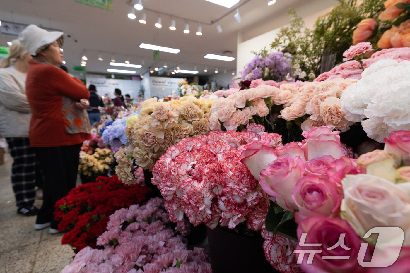 본문 이미지 - 어버이날을 하루 앞둔 8일 서울 서초구 양재 꽃시장에 카네이션 등이 진열돼 있다. 2025.5.7/뉴스1 ⓒ News1 이승배 기자