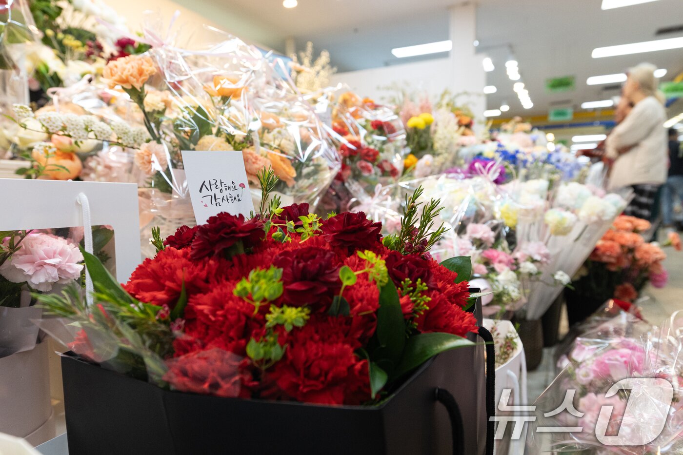 본문 이미지 - 어버이날을 하루 앞둔 8일 서울 서초구 양재 꽃시장에 카네이션 등이 진열돼 있다. 2025.5.7/뉴스1 ⓒ News1 이승배 기자