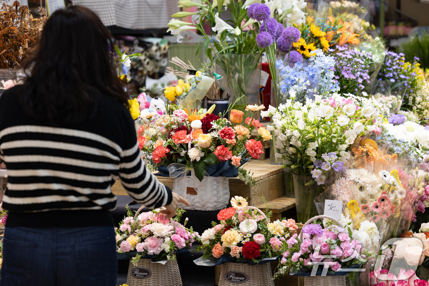 (서울=뉴스1) 이승배 기자 = 어버이날을 하루 앞둔 8일 서울 서초구 양재 꽃시장에서 한 시민이 꽃바구니를 고르고 있다. 2025.5.7/뉴스1