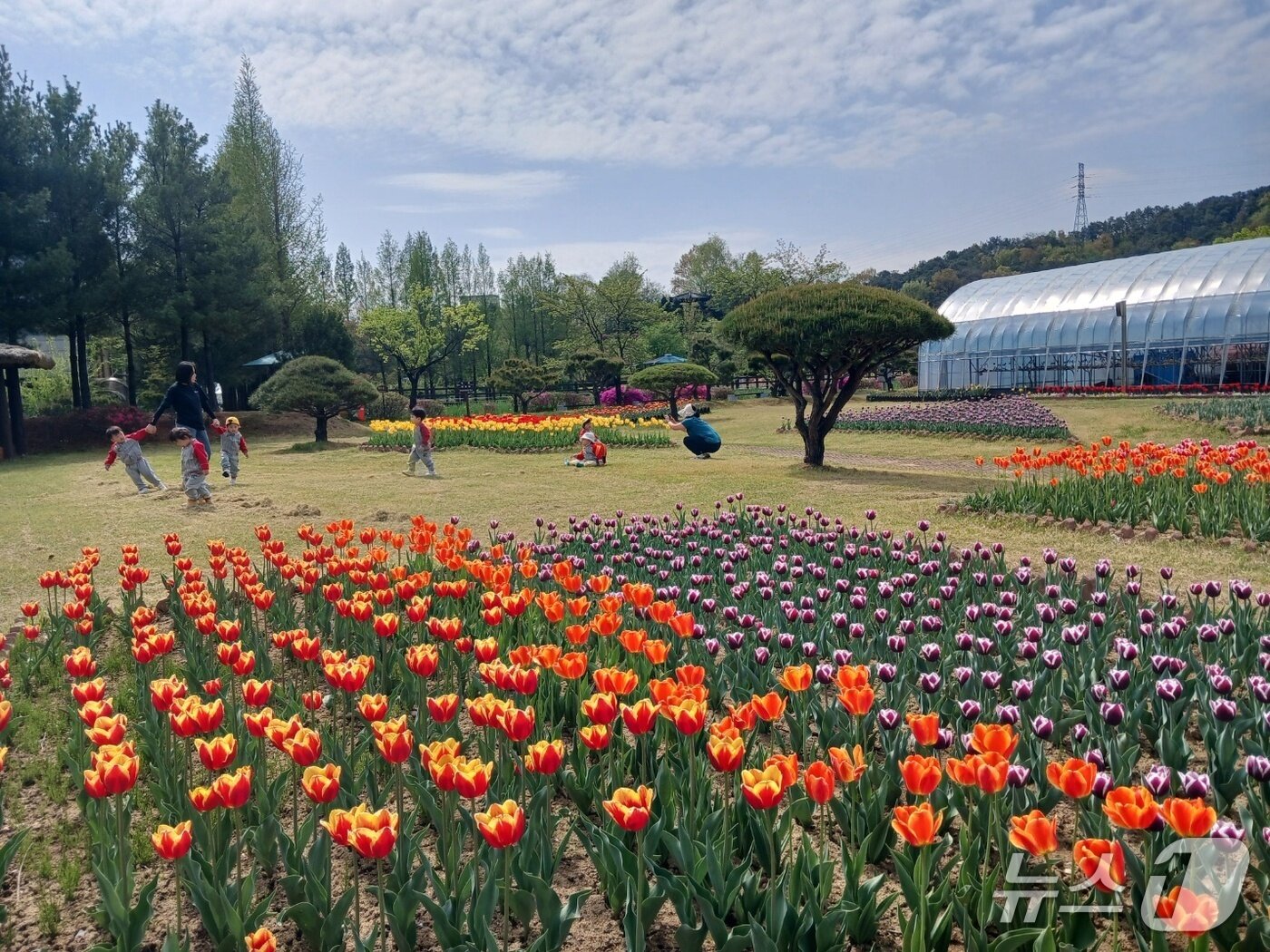 본문 이미지 - 옥천군 농심테마공원 안에 봄꽃이 활짝 펴 시민들이 발길이 이어지고 있다. (옥천군 제공. 재판매 및 DB금지) /뉴스1 