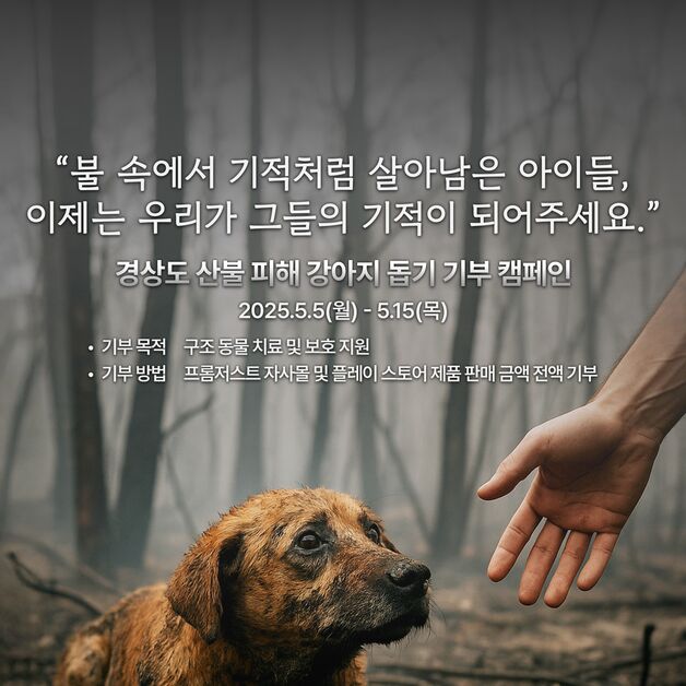 "산불 피해 입은 강아지 돕기"…프롬저스트, 15일까지 기부 캠페인