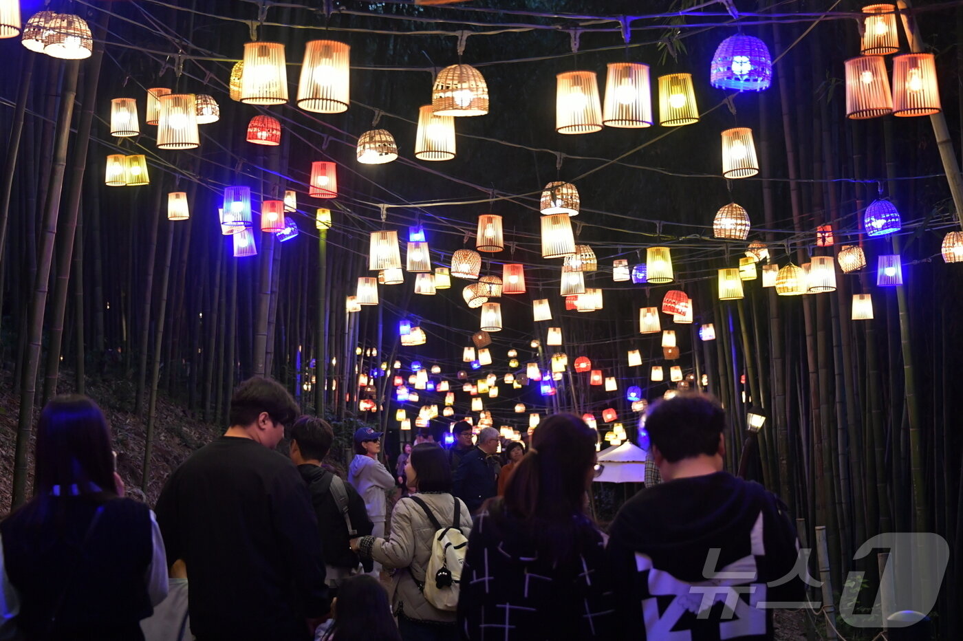 본문 이미지 - 담양 대나무축제 야경(담양군 제공. 재배포 및 DB 금지)