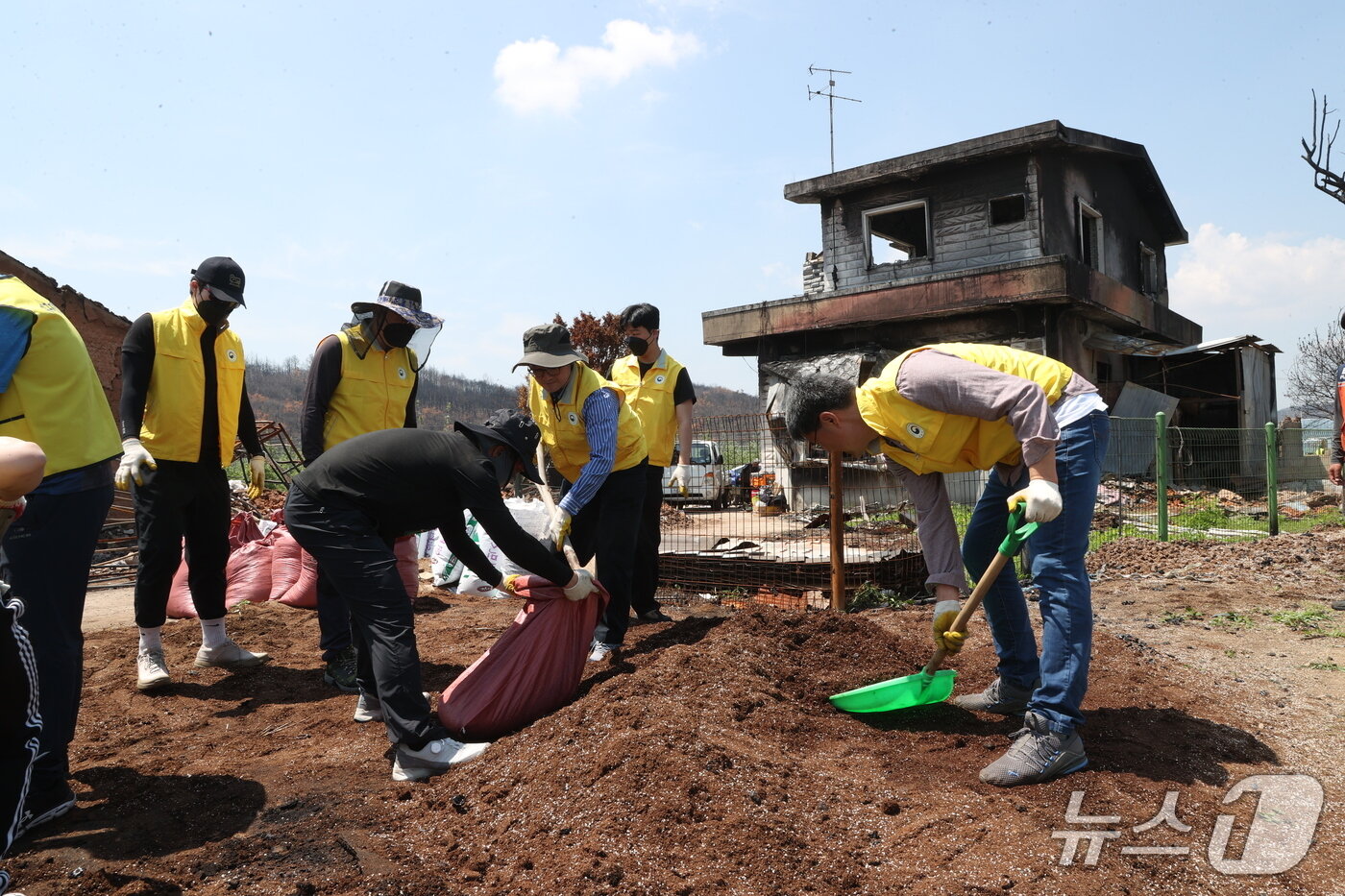 본문 이미지 - 임기근 조달청장과 조달청 봉사동호회 ‘아름다운 사람들’이 경북 의성군 단촌면에 소재한 산불 피해가구를 찾아 피해 복구 지원 활동을 하고 있다.(조달청 제공.재판매 및 DB금지)/뉴스1 