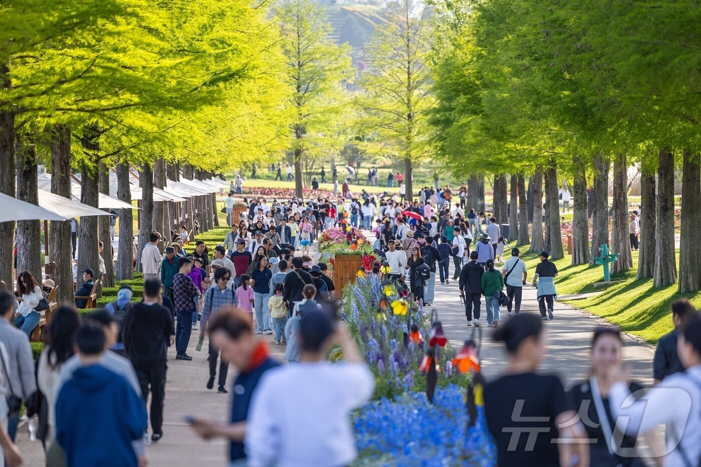 본문 이미지 - 순천만국가정원.&#40;순천시 제공. 재판매 및 DB 금지&#41; /뉴스1