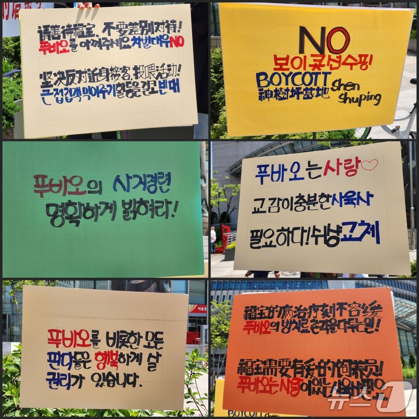 본문 이미지 - 7일 서울시 중구에 모인 푸바오 팬들이 든 피켓 모음. 2025.05.07/ⓒ 뉴스1 권진영 기자