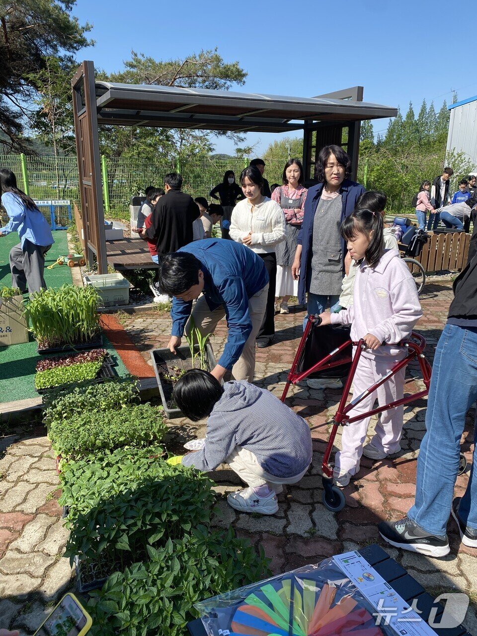본문 이미지 - 함평영화학교 학생과 교직원들이  &#39;1학급 1텃밭 가꾸기&#39; 행사를 벌이고 있다.&#40;전남도교육청 제공, 재판매 및 DB 금지&#41;