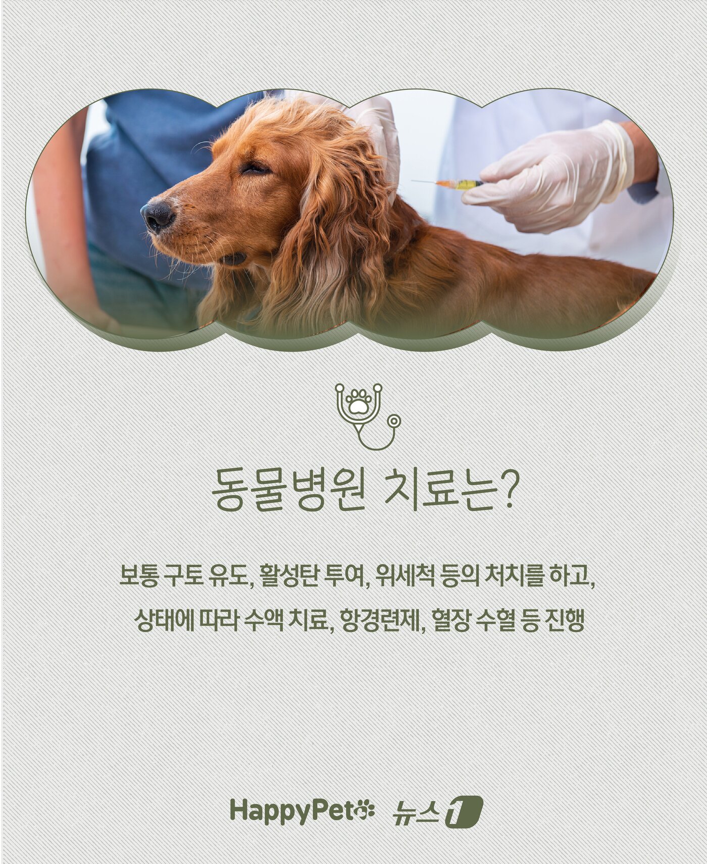 본문 이미지 - ⓒ News1 윤주희 디자이너